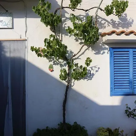 Casa Vacanze Il Glicine 펜션 *